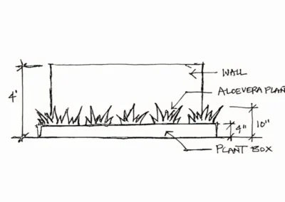 Landscape-Design-Sketch